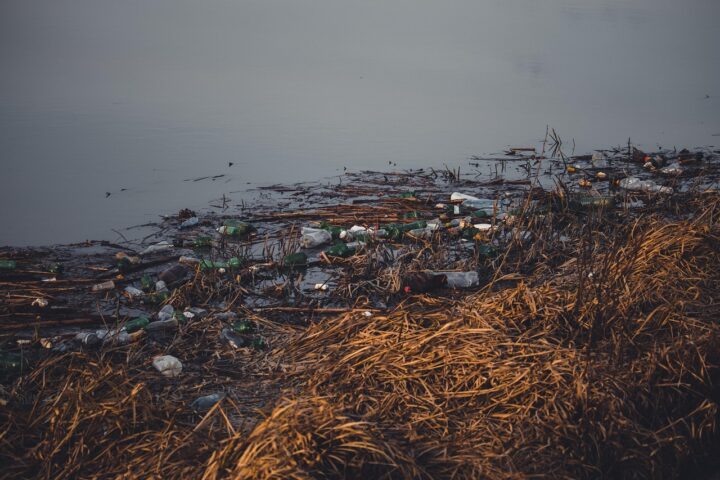 Plastikowe butelki wody vs filtr dzbankowy — porównanie ekologiczne