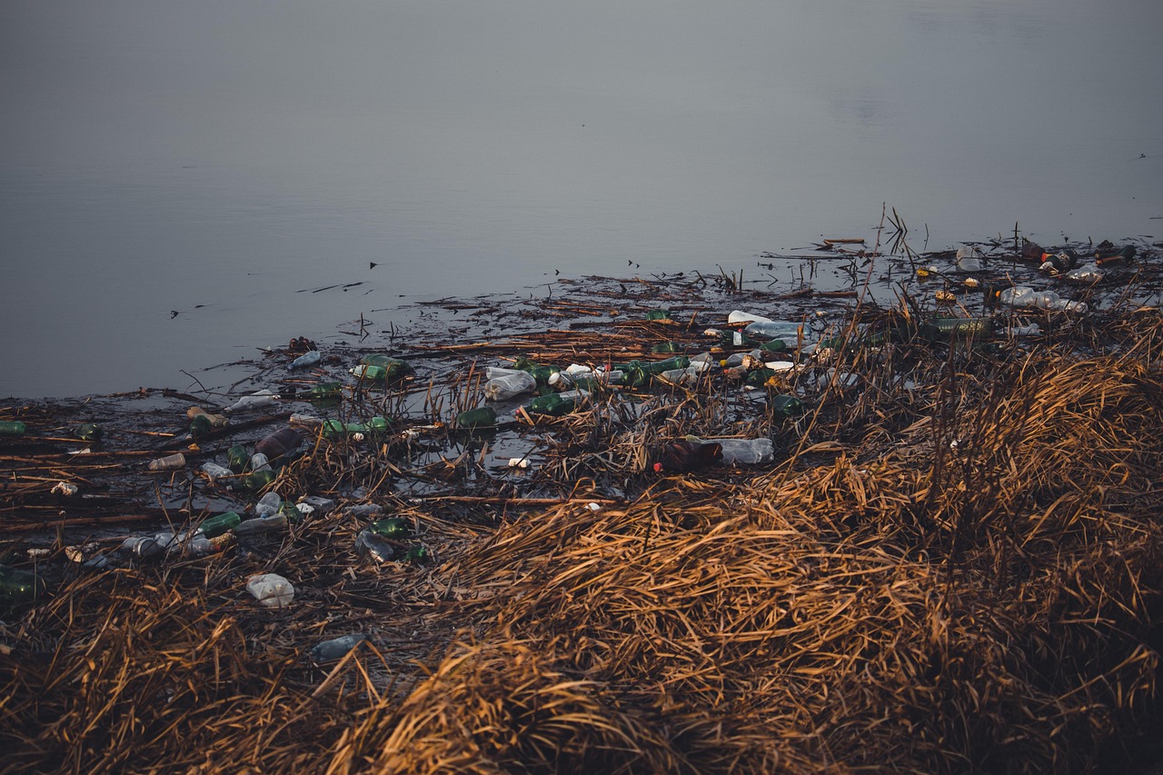 Plastikowe butelki wody vs filtr dzbankowy — porównanie ekologiczne