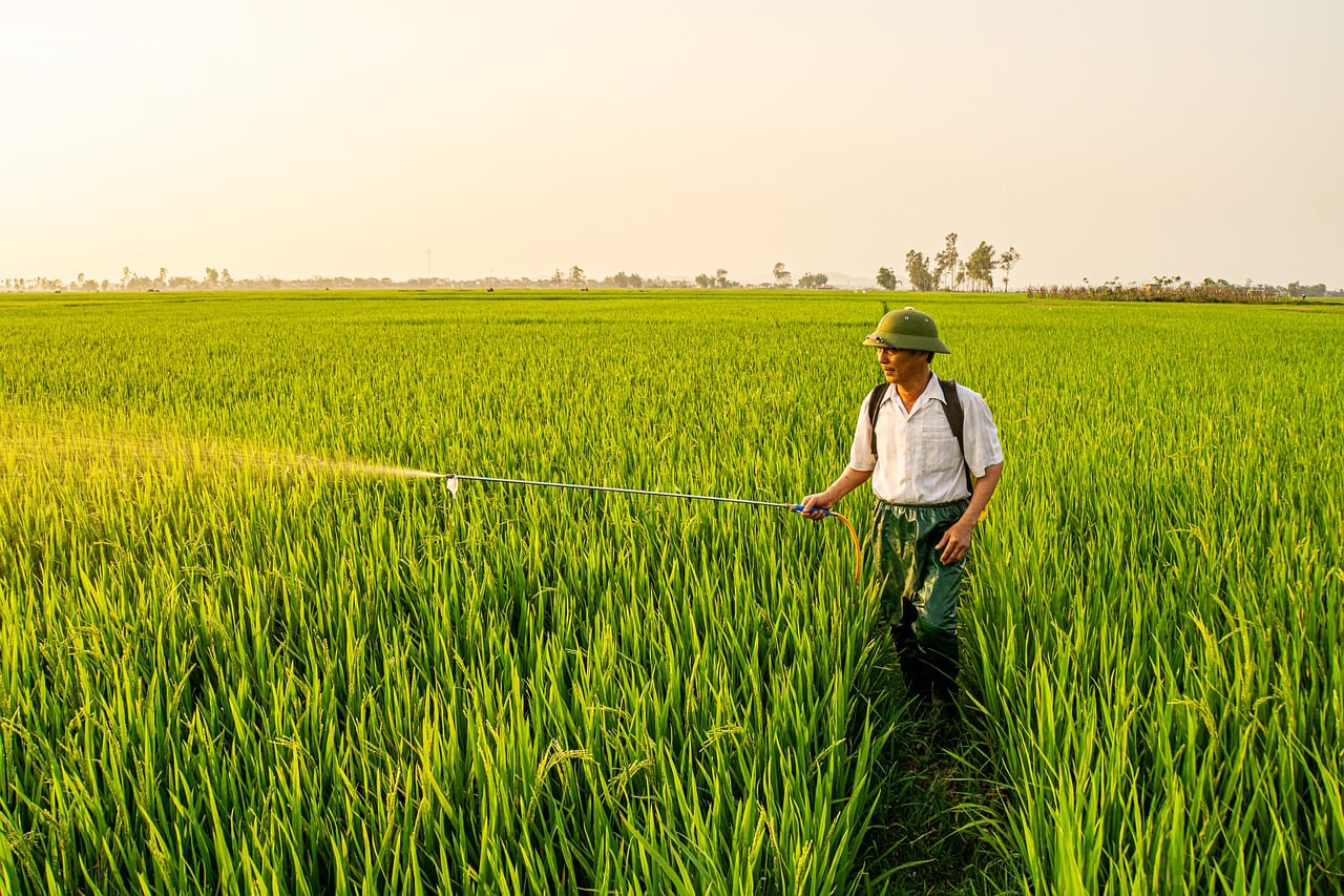 pesticide field water